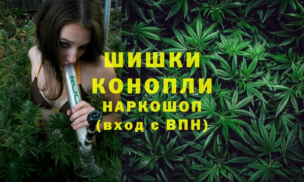 марки nbome Гусь-Хрустальный