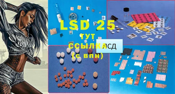 винт Гусиноозёрск