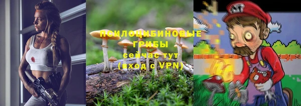 марки nbome Гусь-Хрустальный