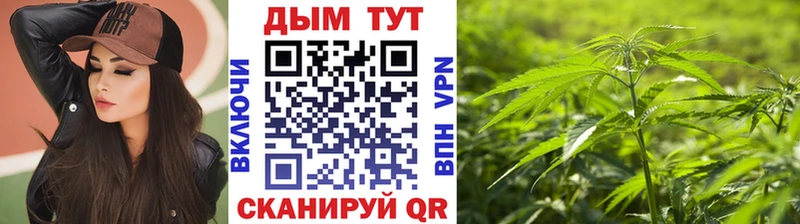 где найти   Сасово  Шишки марихуана SATIVA & INDICA 